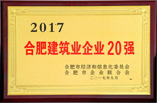 安徽华力建设集团