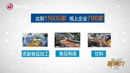 影响力 聚焦产业转移 生态引企 兴黔富农
