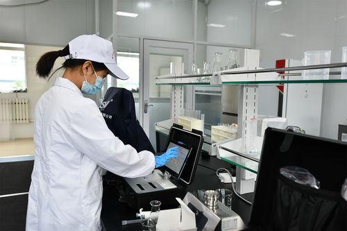 朵朵黑木耳串起创新产业链