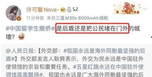 许可馨最新消息爆料,揭露惊人内幕，引发社会热议  第3张