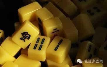 麻将配料爆料视频教程大全,视频教程大全深度解析  第3张
