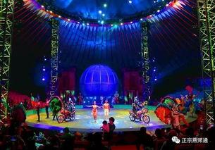 暗夜大马戏爆料视频,惊悚幕后曝光，惊心动魄的表演背后故事