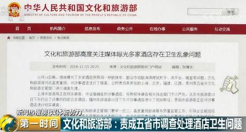 爆料奇特视频下载安装,带你领略神秘软件魅力  第1张