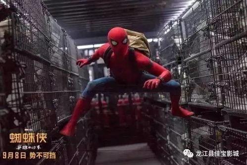 蜘蛛侠英雄归来在线观看完整版,英雄归来在线观影全纪录  第2张