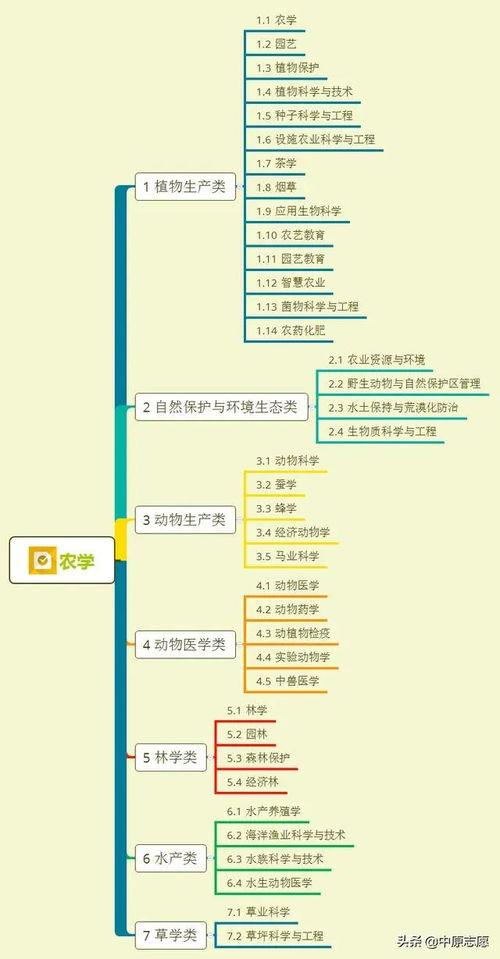 黄瓜特效爆料视频大全集,揭秘神奇美容养颜秘籍 第2张 黄瓜特效爆料视频大全集,揭秘神奇美容养颜秘籍 第2张