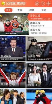 辽宁卫视直播在线观看,实时掌握精彩瞬间,尽享视听盛宴 第2张 辽宁卫视直播在线观看,实时掌握精彩瞬间,尽享视听盛宴 第2张