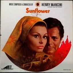 sunflower在线观看,跟随Sunflower在线之旅 第2张 sunflower在线观看,跟随Sunflower在线之旅 第2张