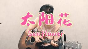 sunflower在线观看,跟随Sunflower在线之旅 第3张 sunflower在线观看,跟随Sunflower在线之旅 第3张