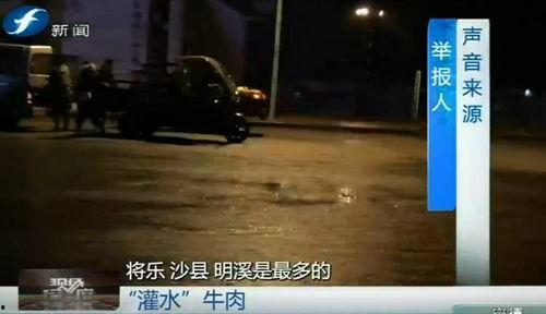 爆料牛的视频大全,热门事件幕后真相大曝光 第2张 爆料牛的视频大全,热门事件幕后真相大曝光 第2张