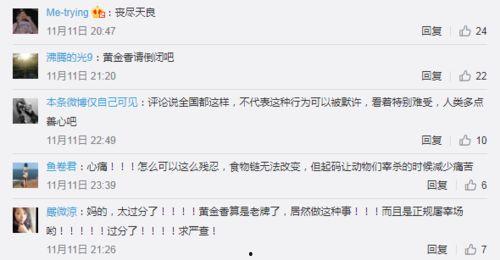 爆料牛的视频大全,热门事件幕后真相大曝光 第3张 爆料牛的视频大全,热门事件幕后真相大曝光 第3张