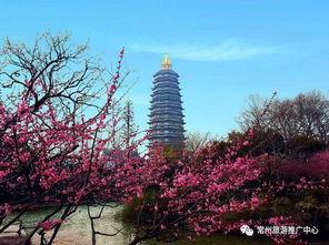 常州景区爆料事件最新情况,最新进展揭秘,真相大白! 第2张 常州景区爆料事件最新情况,最新进展揭秘,真相大白! 第2张