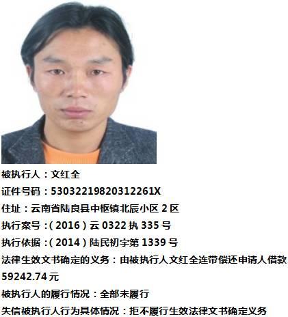 陆良最新爆料,揭秘娱乐圈惊人内幕 第2张 陆良最新爆料,揭秘娱乐圈惊人内幕 第2张