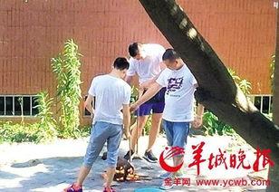汕头记者爆料新闻最新消息,揭秘某重大事件背后真相  第2张
