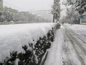 石家庄爆料下雪事件最新,城市交通受阻，市民生活受影响  第2张