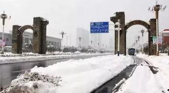 石家庄爆料下雪事件最新,城市交通受阻，市民生活受影响  第3张
