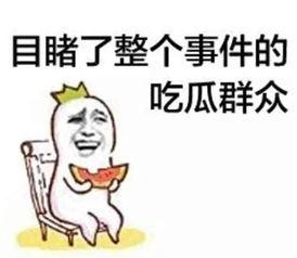 吃瓜群众杨大哥小说免费阅读,揭秘小说世界中的免费阅读之旅  第2张
