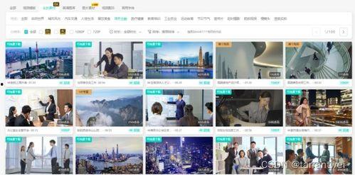 热点爆料 视频素材网站,视频素材网站深度解析 第2张 热点爆料 视频素材网站,视频素材网站深度解析 第2张