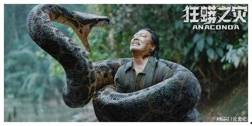 狂蟒之灾爆料视频完整版,揭秘完整版爆料视频中的惊悚瞬间与幕后真相  第3张