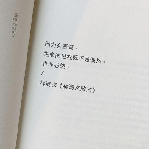 励志新闻爆料文案,励志新闻背后的感人故事