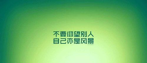 励志新闻爆料文案,励志新闻背后的感人故事  第2张