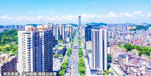 东莞楼市爆料网官网最新,揭秘2023年房价走势与热门项目盘点