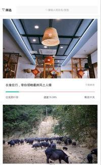 中间人手机在线观看,技术揭秘与安全防范