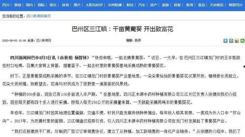 四川新闻网怎么爆料,如何有效提供新闻线索 第3张 四川新闻网怎么爆料,如何有效提供新闻线索 第3张