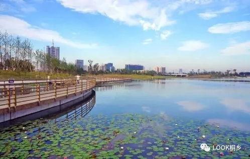 桐乡凤凰湖爆料最新消息,揭秘湖畔神秘事件！  第2张