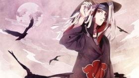 新春鼬爆料视频大全高清,高清视频大全集锦  第2张