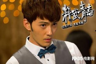 精武青春在线观看,热血青春，武术传奇在线观看