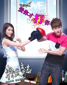 精武青春在线观看,热血青春，武术传奇在线观看  第3张