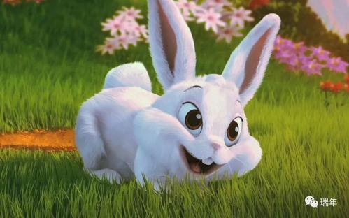 娱乐吃瓜兔子视频,揭秘娱乐圈幕后故事  第2张