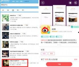 官方爆料新闻有哪些