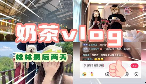 桂林饭店爆料视频大全集,揭秘幕后真相与精彩瞬间