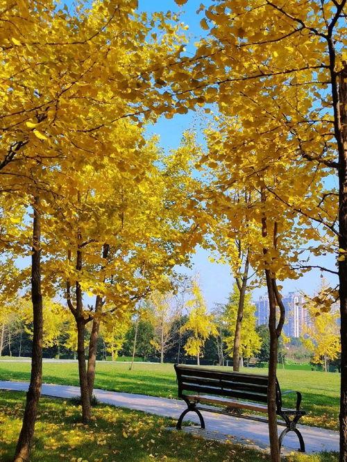 盲盒16级最新爆料,潮流玩具界的神秘面纱  第3张