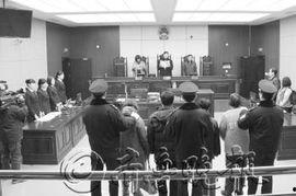 二八大案最新爆料  第3张