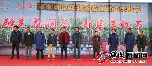 浠水二小爆料新闻报道视频 第1张 浠水二小爆料新闻报道视频 第1张