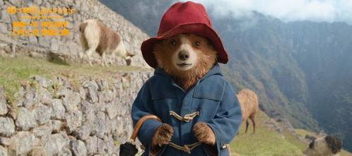 熊 电影在线观看,探寻自然与生命的深刻寓言