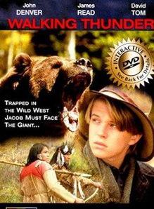 熊 电影在线观看,探寻自然与生命的深刻寓言  第2张