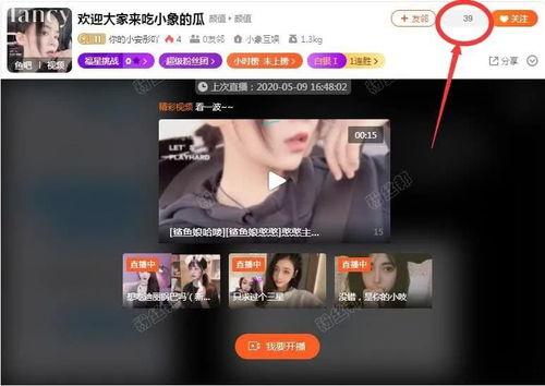 主播爆料缅甸视频大全下载,缅甸视频大全下载全攻略