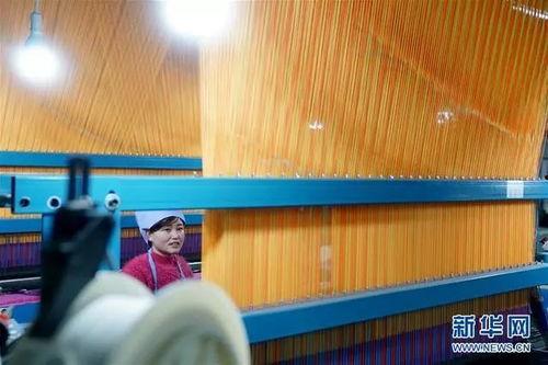 南宫市新闻爆料,聚焦城市发展新动态