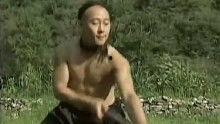 太极宗师爆料吴京视频大全,吴京武术精髓视频大全全解析  第3张