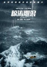 惊涛在线观看,在线观看，揭秘海上冒险传奇