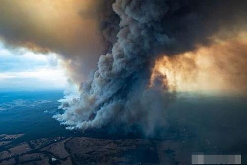 澳洲大火的最新爆料 第1张 澳洲大火的最新爆料 第1张