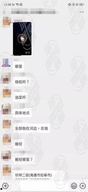 多地网友爆料新闻视频,新闻视频引发热议  第2张