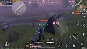 和平精英最新比赛爆料  第1张