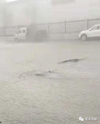 一场大雨爆料视频大全,一场大雨的视觉盛宴  第1张