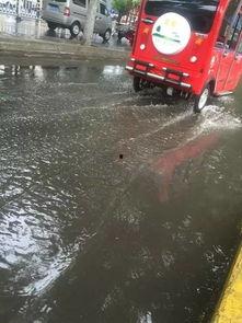 一场大雨爆料视频大全,一场大雨的视觉盛宴  第2张