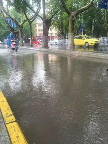 一场大雨爆料视频大全,一场大雨的视觉盛宴  第3张