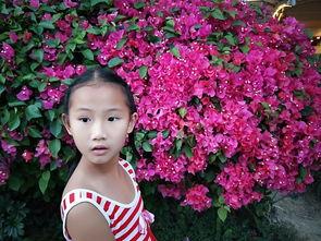 深圳蚊姐最新爆料,最新爆料背后的惊人真相